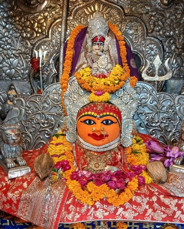 naidunia_image